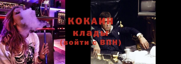 соль ск Абаза