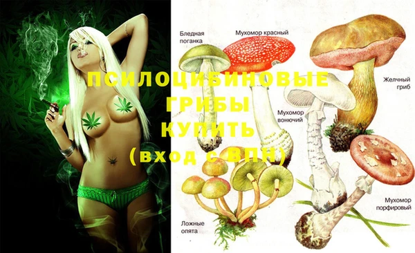 ешки Абинск