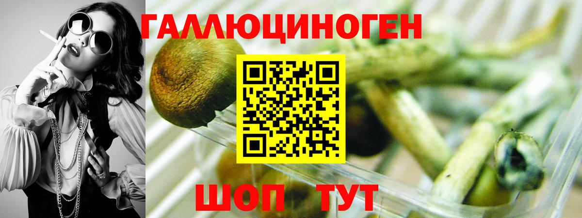 Новочеркасск  Галлюциногенные грибы Psilocybe  Вход с VPN 